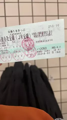 しゃま ✈️ ⁑ travelerのTikTok投稿