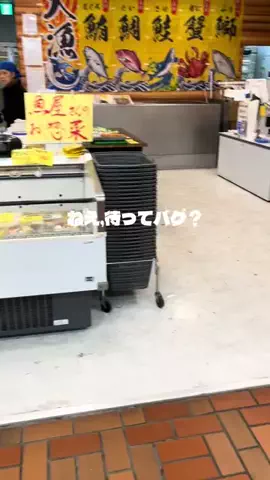 えりさのTikTok投稿