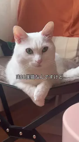 せまるのTikTok投稿