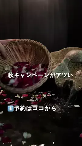 なみちゃん旅のTikTok投稿