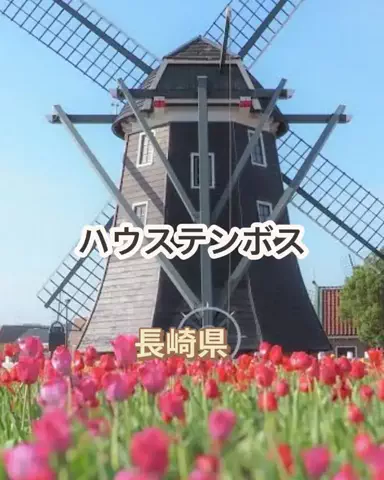 🌿𝙉𝙖𝙢𝙞🍜❤【自粛中】のTikTok投稿