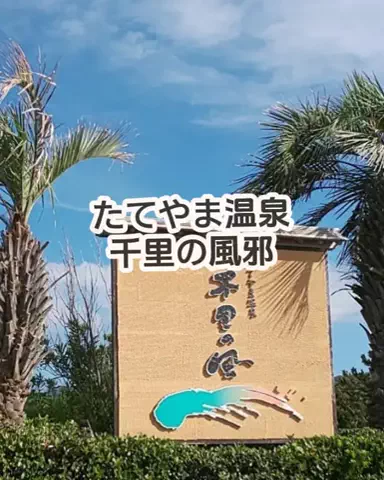 🌿𝙉𝙖𝙢𝙞🍜❤【自粛中】のTikTok投稿