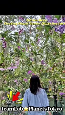 Thao-FreelancerinJapanのTikTok投稿