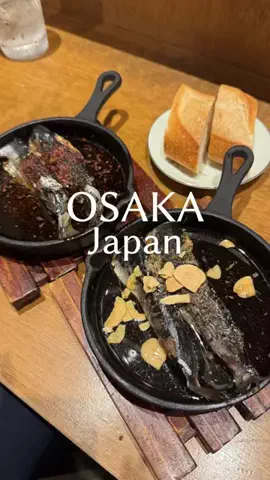 osaka.gourmet.journey.enのTikTok投稿