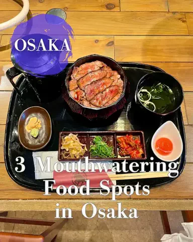 osaka.gourmet.journey.enのTikTok投稿