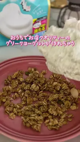 YuukiのおうちスイーツのTikTok投稿