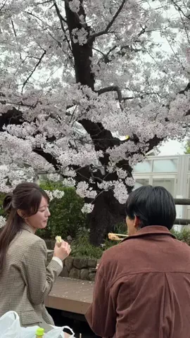 自己満美容ちゃん🚺のTikTok投稿