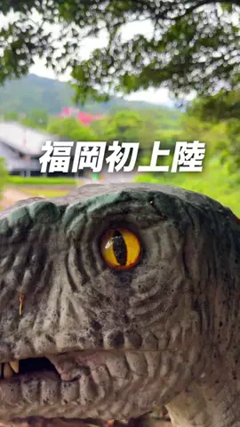 うお | 福岡のTikTok投稿