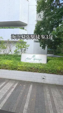 トトロのTikTok投稿
