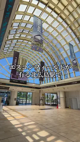 トトロのTikTok投稿