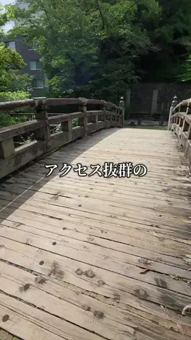 トトロのTikTok投稿