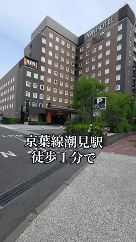 トトロのTikTok投稿