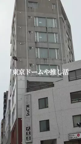 トトロのTikTok投稿