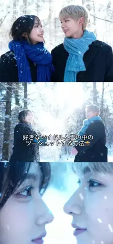 蝶のTikTok投稿