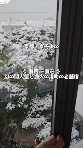 アーク🐐のTikTok投稿