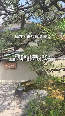 アーク🐐のTikTok投稿