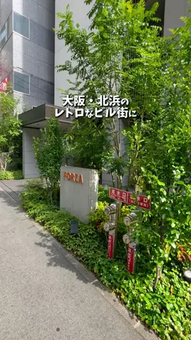アーク🐐のTikTok投稿