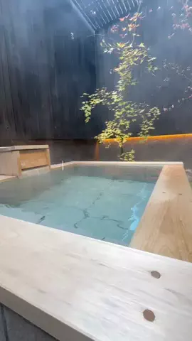 モグワイのTikTok投稿