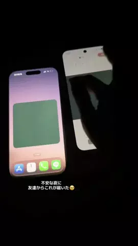 ぽん太のTikTok投稿