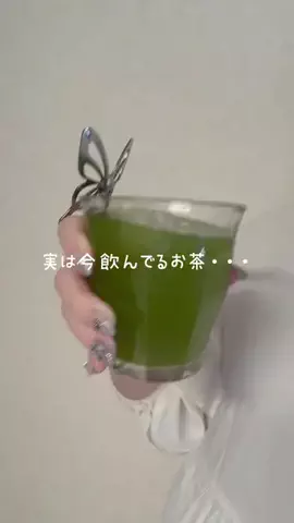 🐈‍⬛のTikTok投稿