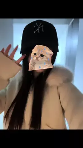 すなねこのTikTok投稿