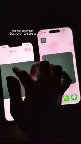 ぽん太のTikTok投稿