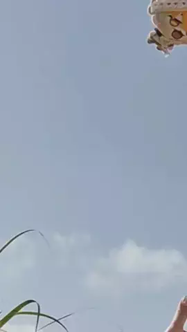 みむみむのTikTok投稿