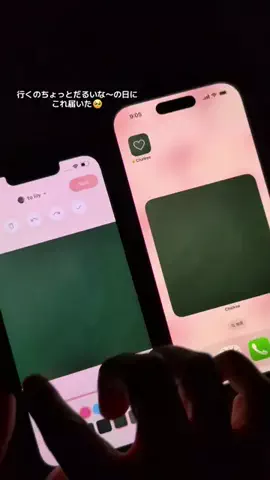 ぽん太のTikTok投稿