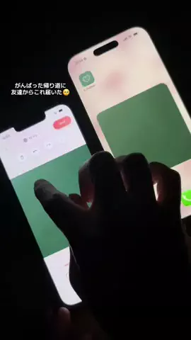ぽん太のTikTok投稿