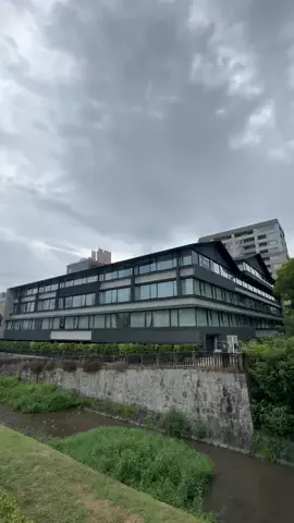モグワイのTikTok投稿