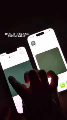 ぽん太のTikTok投稿
