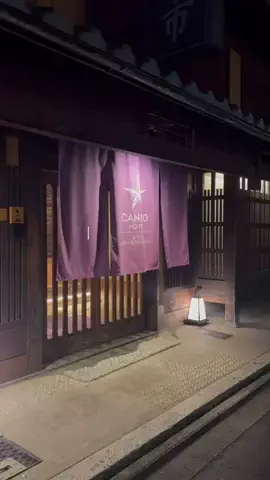 モグワイのTikTok投稿