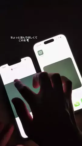 ぽん太のTikTok投稿