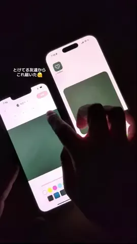 ぽん太のTikTok投稿