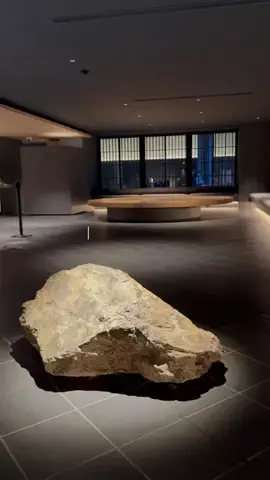 モグワイのTikTok投稿