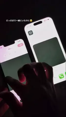 ぽん太のTikTok投稿