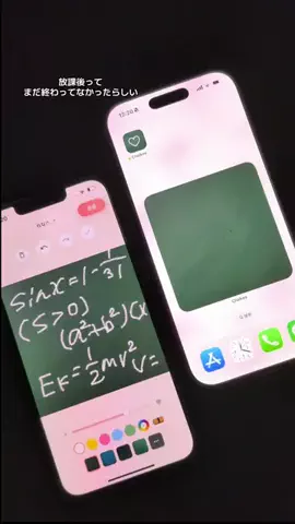 ぽん太のTikTok投稿
