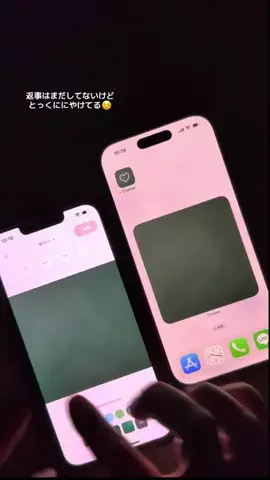 ぽん太のTikTok投稿