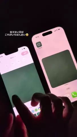 ぽん太のTikTok投稿