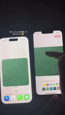ぽん太のTikTok投稿