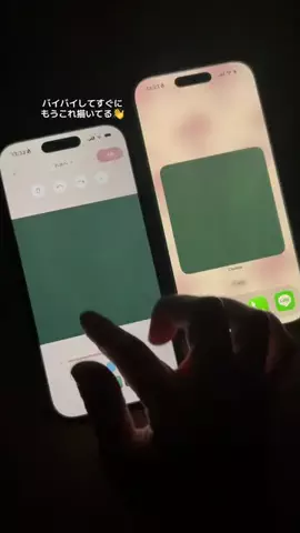 ぽん太のTikTok投稿