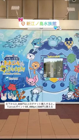 群馬発すー旅⌇旅と暮らしのTikTok投稿