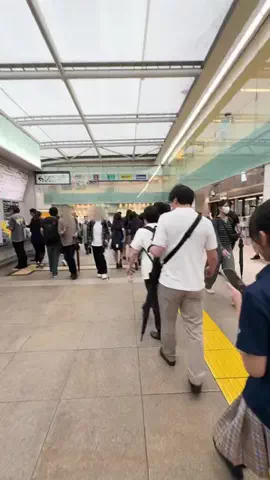 大田区グルメカフェのTikTok投稿