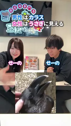 バイトモ‼️のTikTok投稿