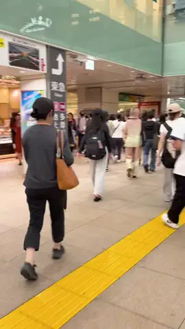 大田区グルメカフェのTikTok投稿