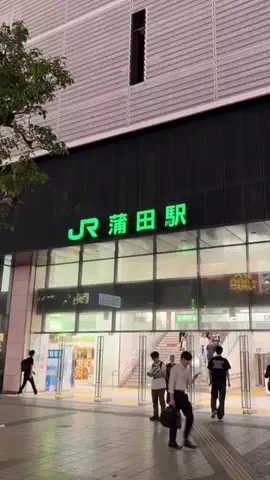 大田区グルメカフェのTikTok投稿