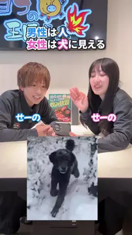 バイトモ‼️のTikTok投稿
