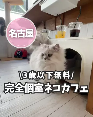 かな【名古屋発】子連れおでかけのTikTok投稿