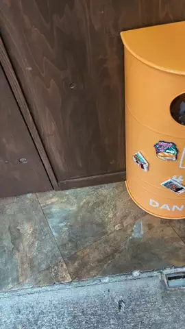 えりたま　あっちゃこちゃの万華鏡のTikTok投稿