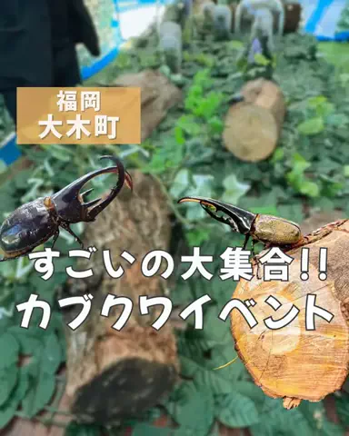 こなつ | 福岡子連れおでかけのTikTok投稿